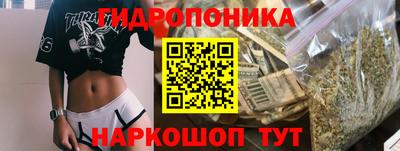 индика Краснокаменск