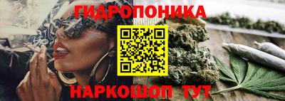дмт Краснодар